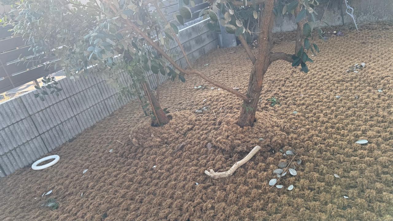 Mulchmatte rund 60 cm